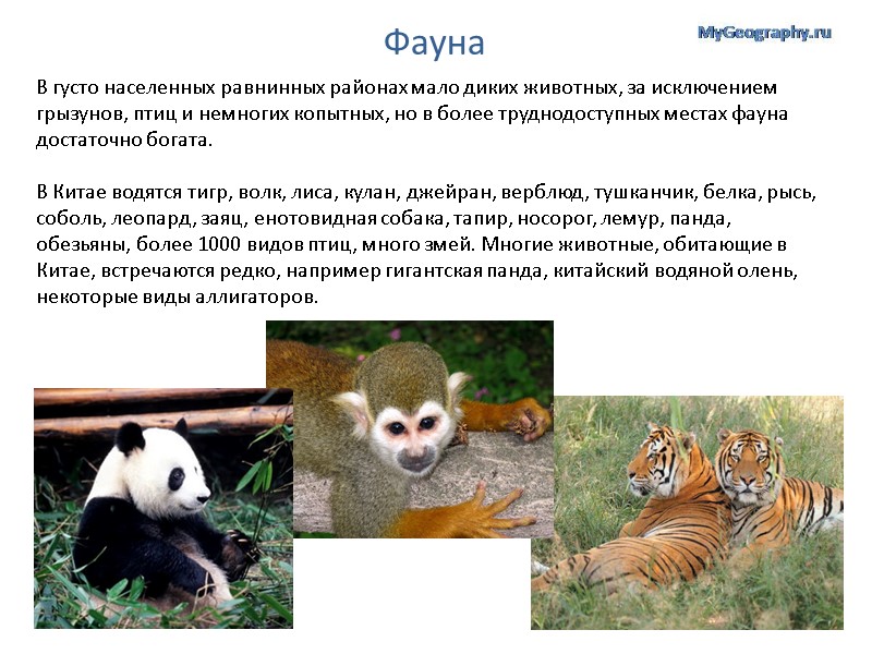 Фауна В густо населенных равнинных районах мало диких животных, за исключением грызунов, птиц и